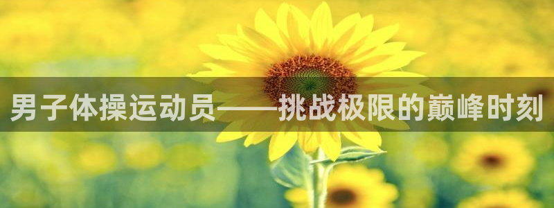 意昂4代理：男子体操运动员——挑战极限的巅峰时刻