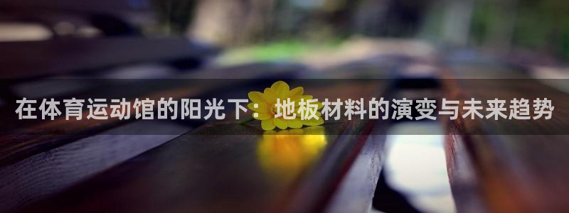 意昂4体育热门赛事有哪些：在体育运动馆的阳光下：地板材料的演变与未来趋势