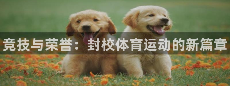 意昂4娱乐官网入口：竞技与荣誉：封校体育运动的新篇章