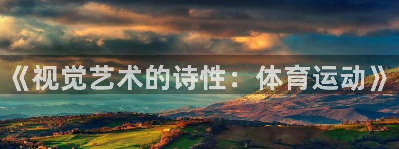 意昂4f凯捷平台在线注册：《视觉艺术的诗性：体育运动》