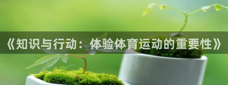 意昂4平台开户链接：《知识与行动：体验体育运动的重要性》