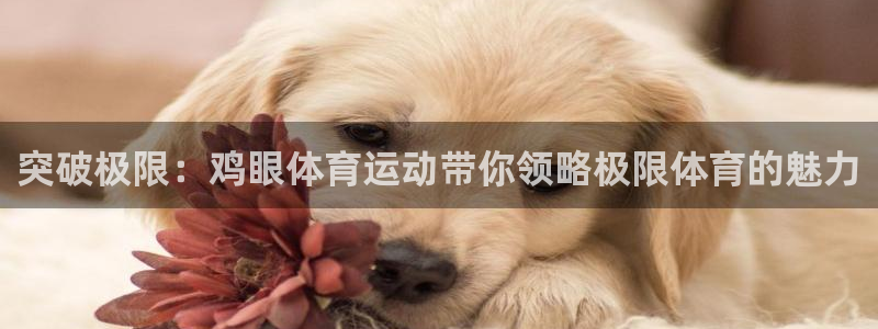 意昂4体育注册代理：突破极限：鸡眼体育运动带你领略极限体育的魅力