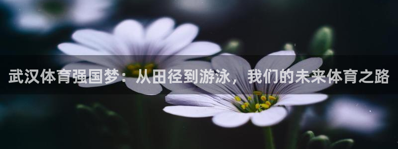 意昂4体育论坛：武汉体育强国梦：从田径到游泳，我们的未来体育之路