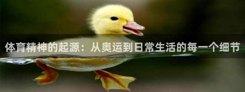 意昂4：体育精神的起源：从奥运到日常生活的每一个细节
