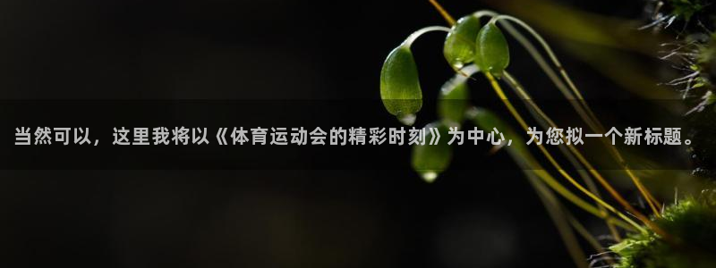 意昂4官网：当然可以，这里我将以《体育运动会的精彩时刻》为中心，为您拟一个新标题。