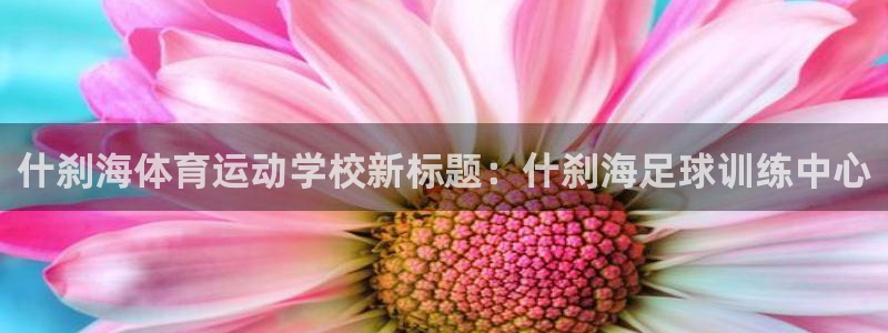 意昂4体育1招商：什刹海体育运动学校新标题：什刹海足球训练中心