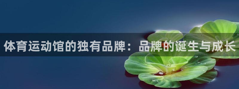 意昂43：体育运动馆的独有品牌：品牌的诞生与成长