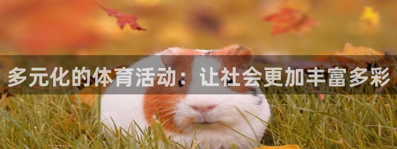 意昂4体育凯捷平台注册：多元化的体育活动：让社会更加丰富多彩