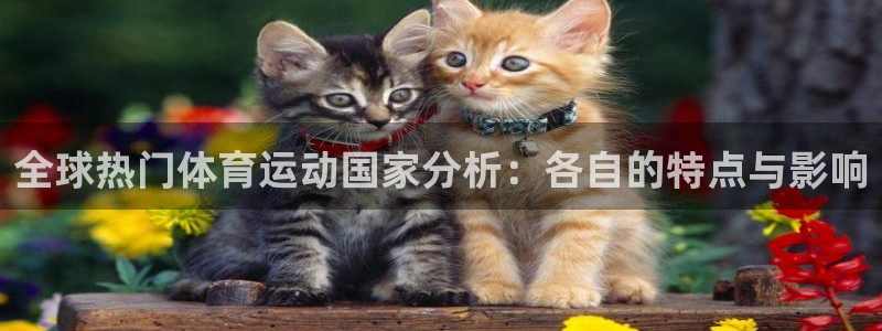 www.意昂4体育.com：全球热门体育运动国家分析：各自的特点与影响