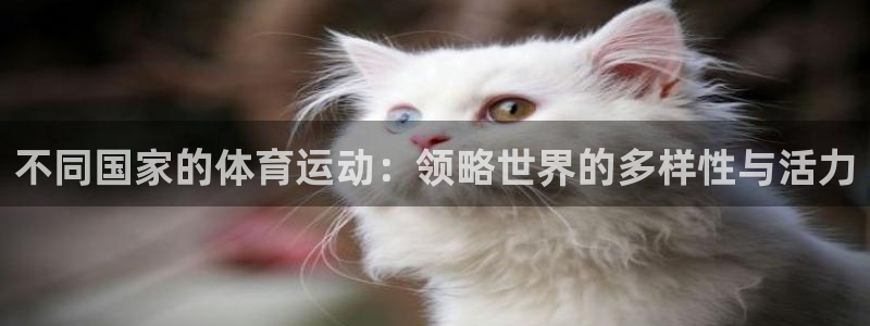 意昂4零能源集团：不同国家的体育运动：领略世界的多样性与活力