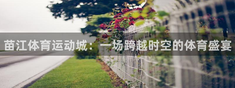 意昂4体育2：苗江体育运动城：一场跨越时空的体育盛宴