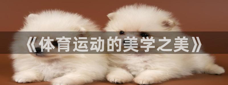 意昂4老板：《体育运动的美学之美》
