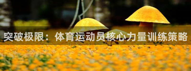 意昂4体育凯捷平台代理：突破极限：体育运动员核心力量训练策略