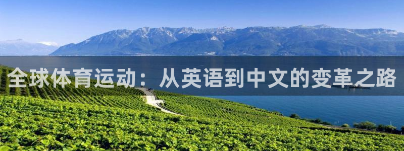 意昂4平台开户链接：全球体育运动：从英语到中文的变革之路