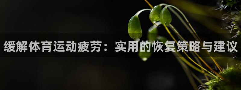 意昂4是谁开发的：缓解体育运动疲劳：实用的恢复策略与建议