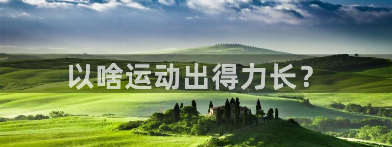 意昂4主管