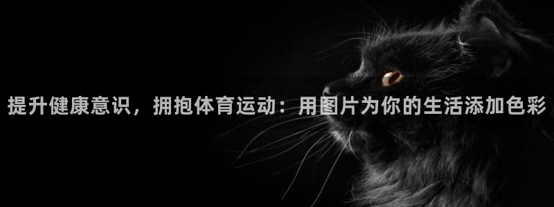 意昂42登录：提升健康意识，拥抱体育运动：用图片为你的生活添加色彩