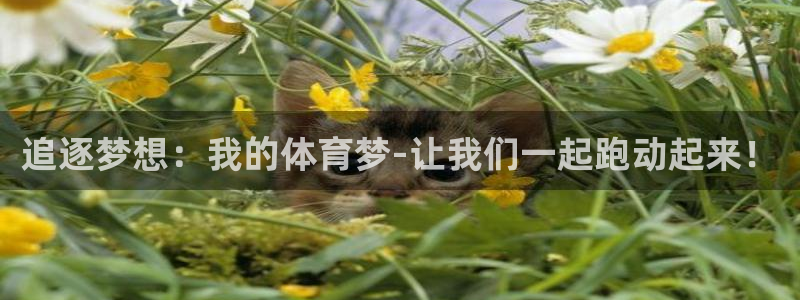 意昂4平台招商：追逐梦想：我的体育梦-让我们一起跑动起来！
