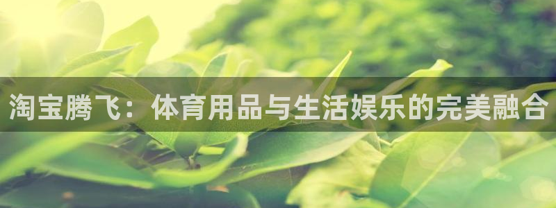 福建意昂4机电股份公司：淘宝腾飞：体育用品与生活娱乐的完美融合