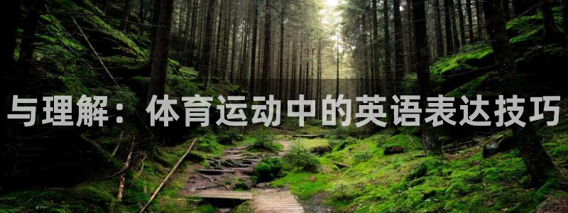 意昂4官网入口：与理解：体育运动中的英语表达技巧