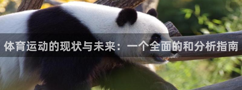 意昂4：体育运动的现状与未来：一个全面的和分析指南