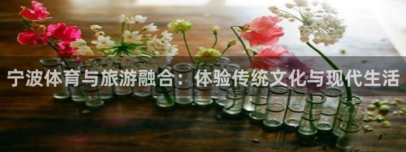意昂4在线注册：宁波体育与旅游融合：体验传统文化与现代生活