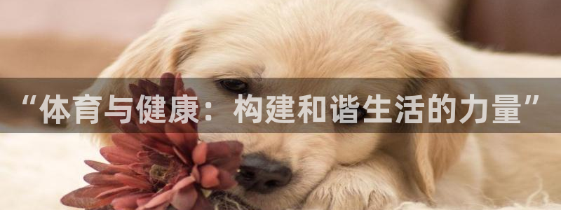 意昂4代理注册官网入口：“体育与健康：构建和谐生活的力量”