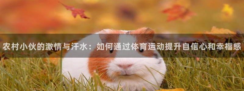 意昂4凯捷开号链接：农村小伙的激情与汗水：如何通过体育运动提升自信心和幸福感